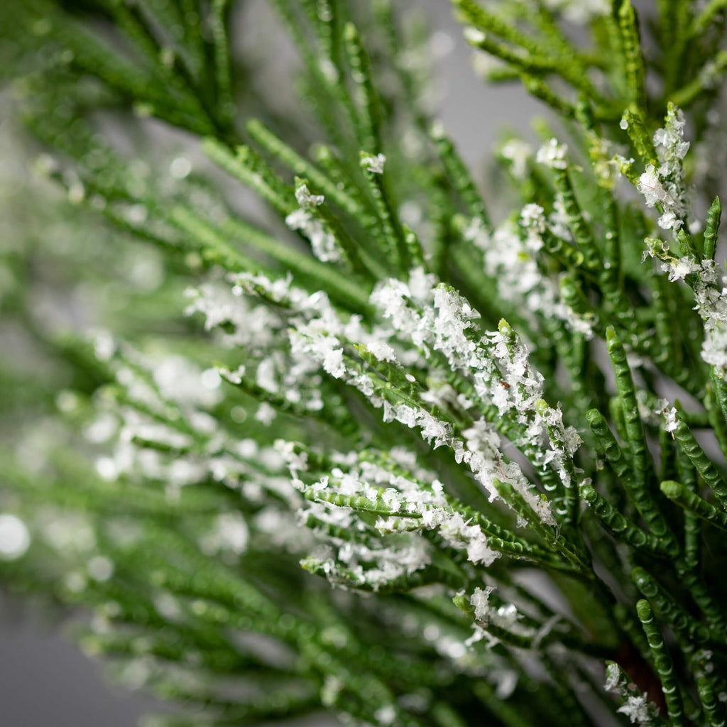 Frosted Green Cedar Spray     