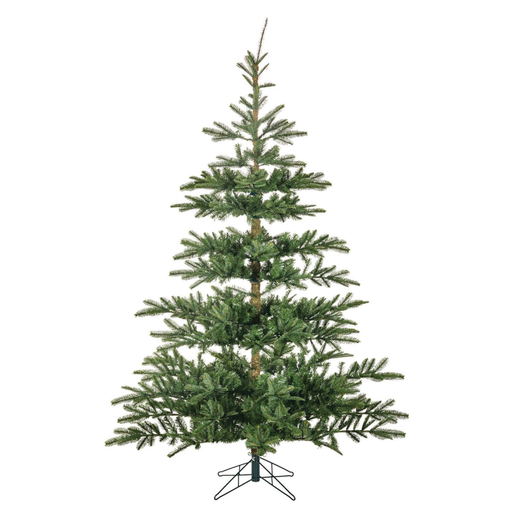 9'H Danish Royal Fir Tree     