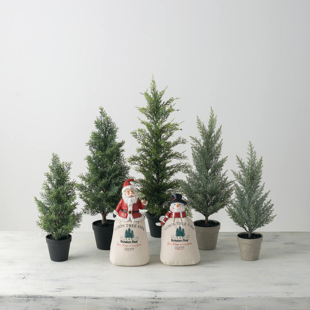 Tabletop Cedar Tree Set Of 2  