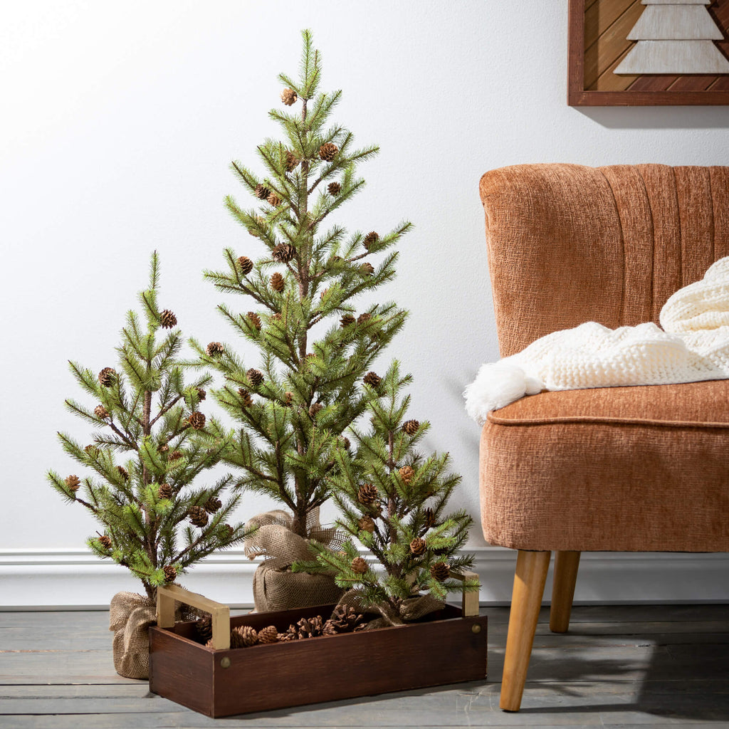 Large Pinecone Tree In Burlap 