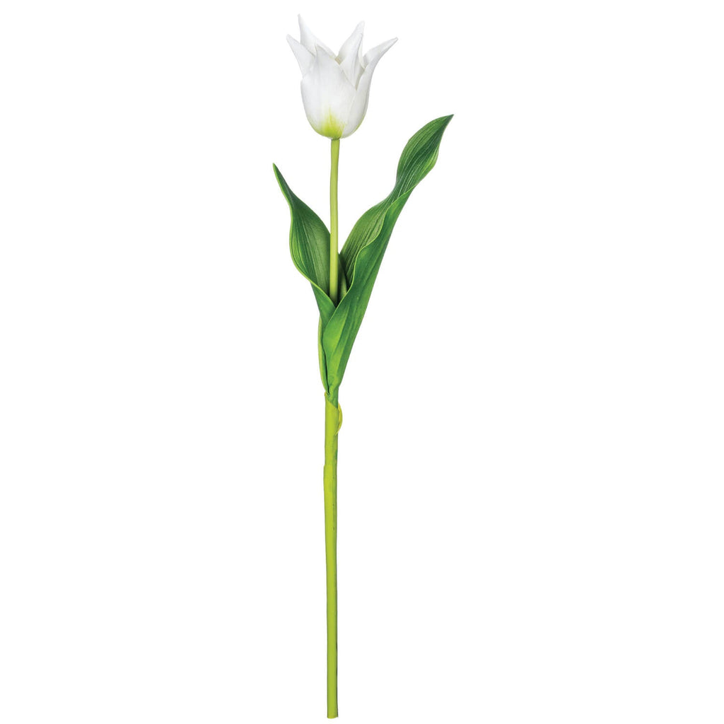 Small Tulip Stem              