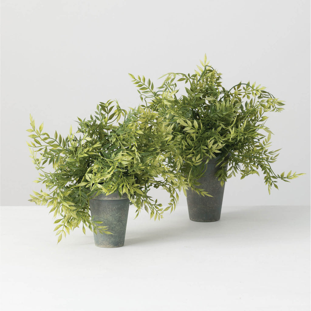 Wisteria Potted Orb Set Of 2  