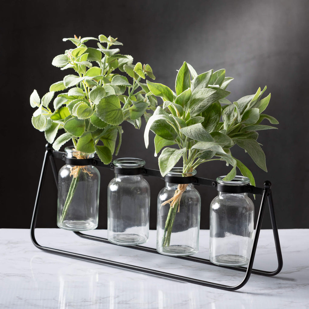 Basil Bundle                  