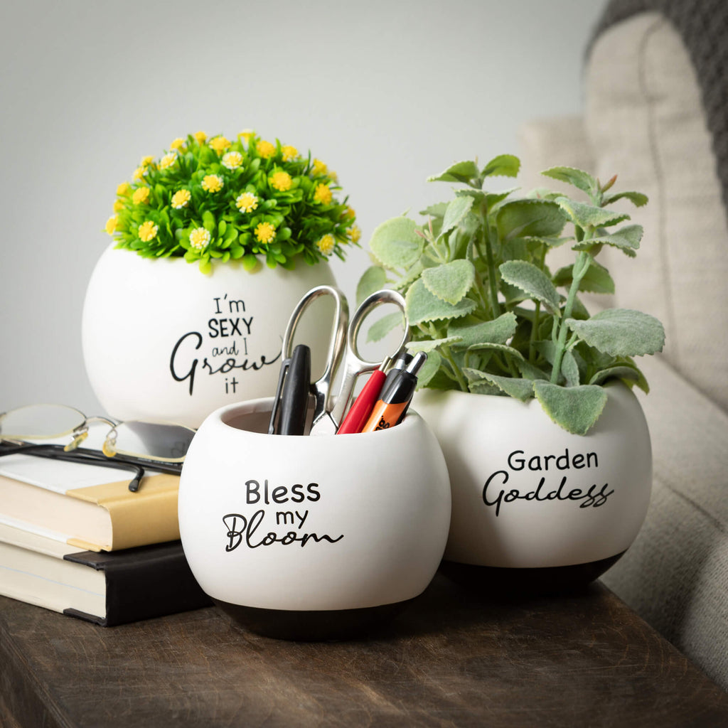 Basil Bundle                  