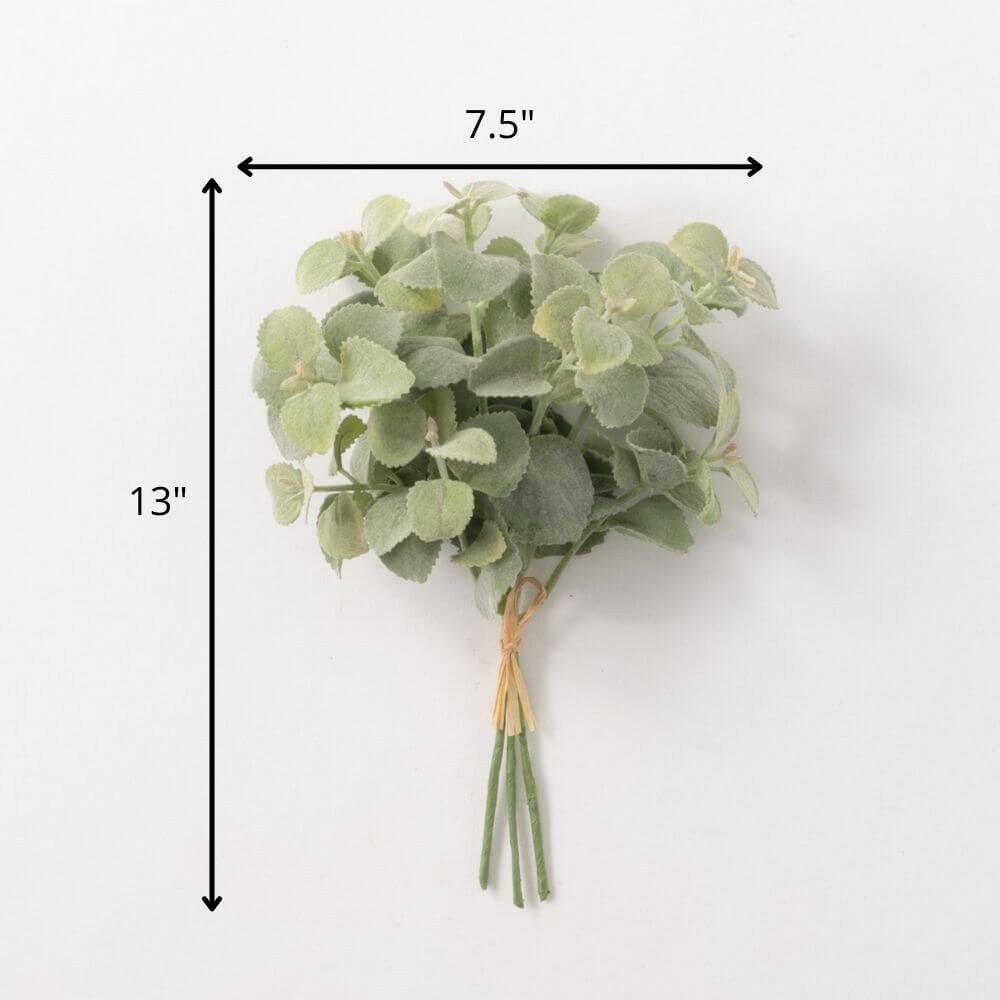 Basil Bundle                  