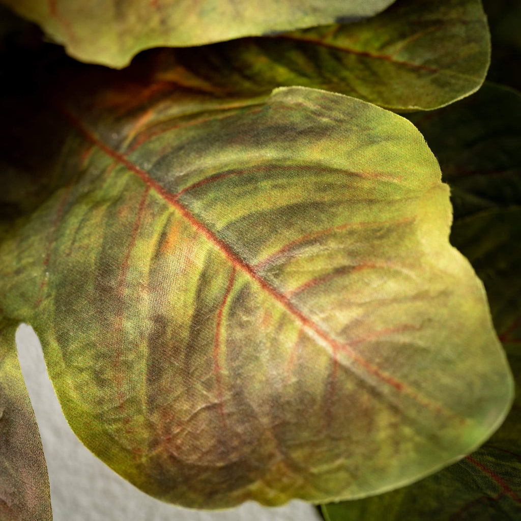 Mixed Fig Leaf Garland        