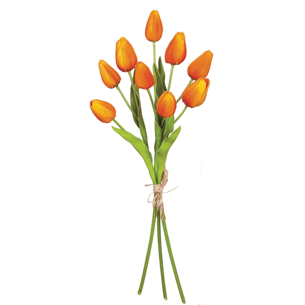 Tulip Bouquet                 
