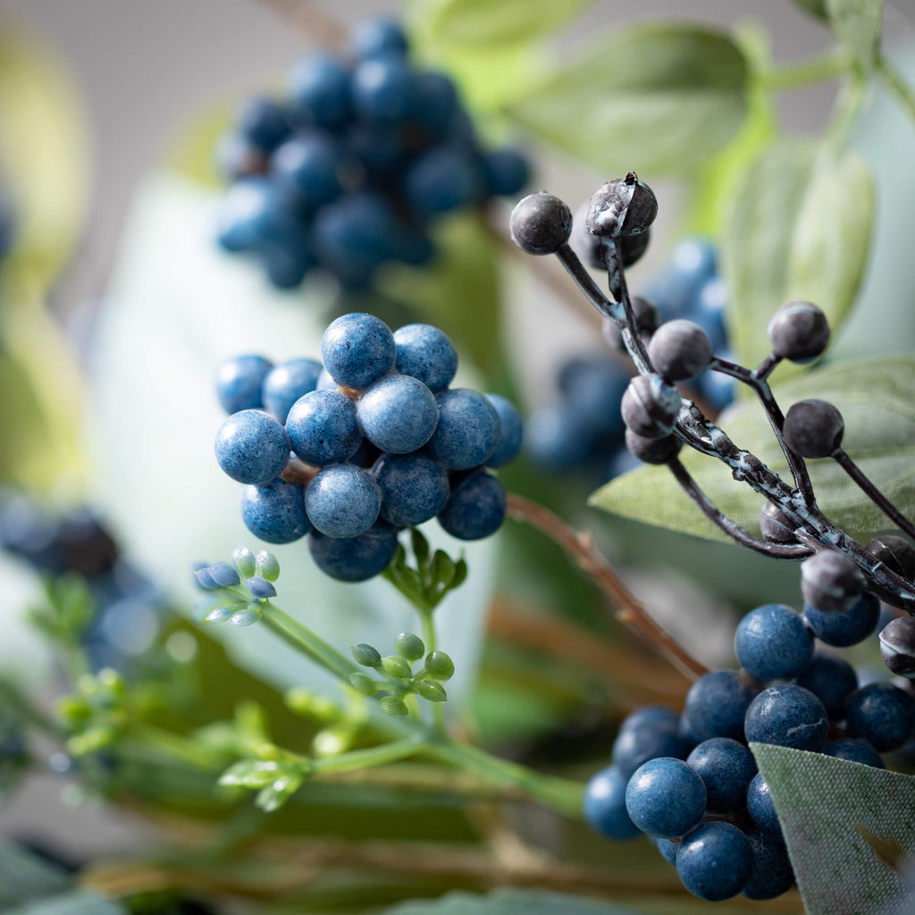 Mixed Leaf Blueberry Bush     