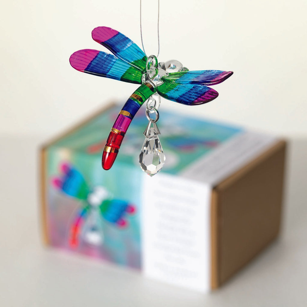 Fantasy Glass Suncatcher - Dragonfly, Summer Rainbow image with product box
