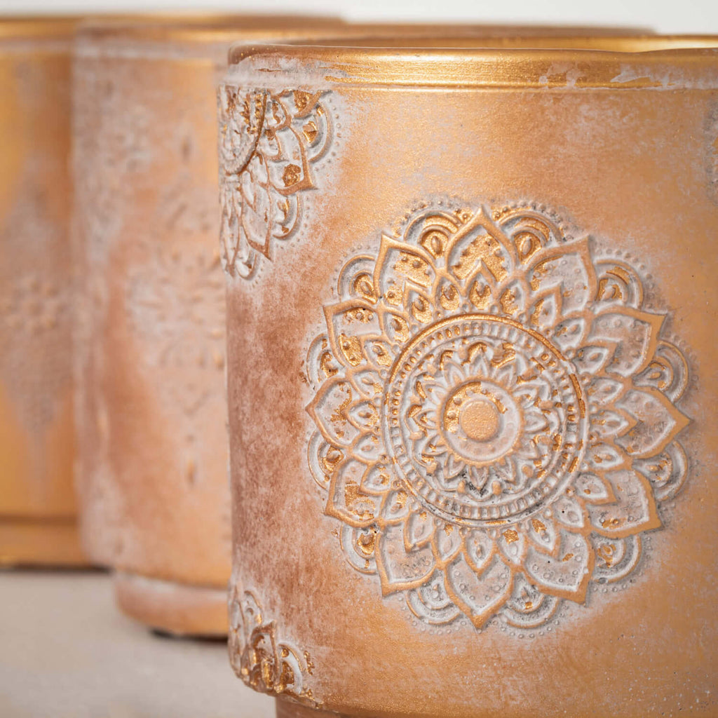 Embossed Container Set/3      