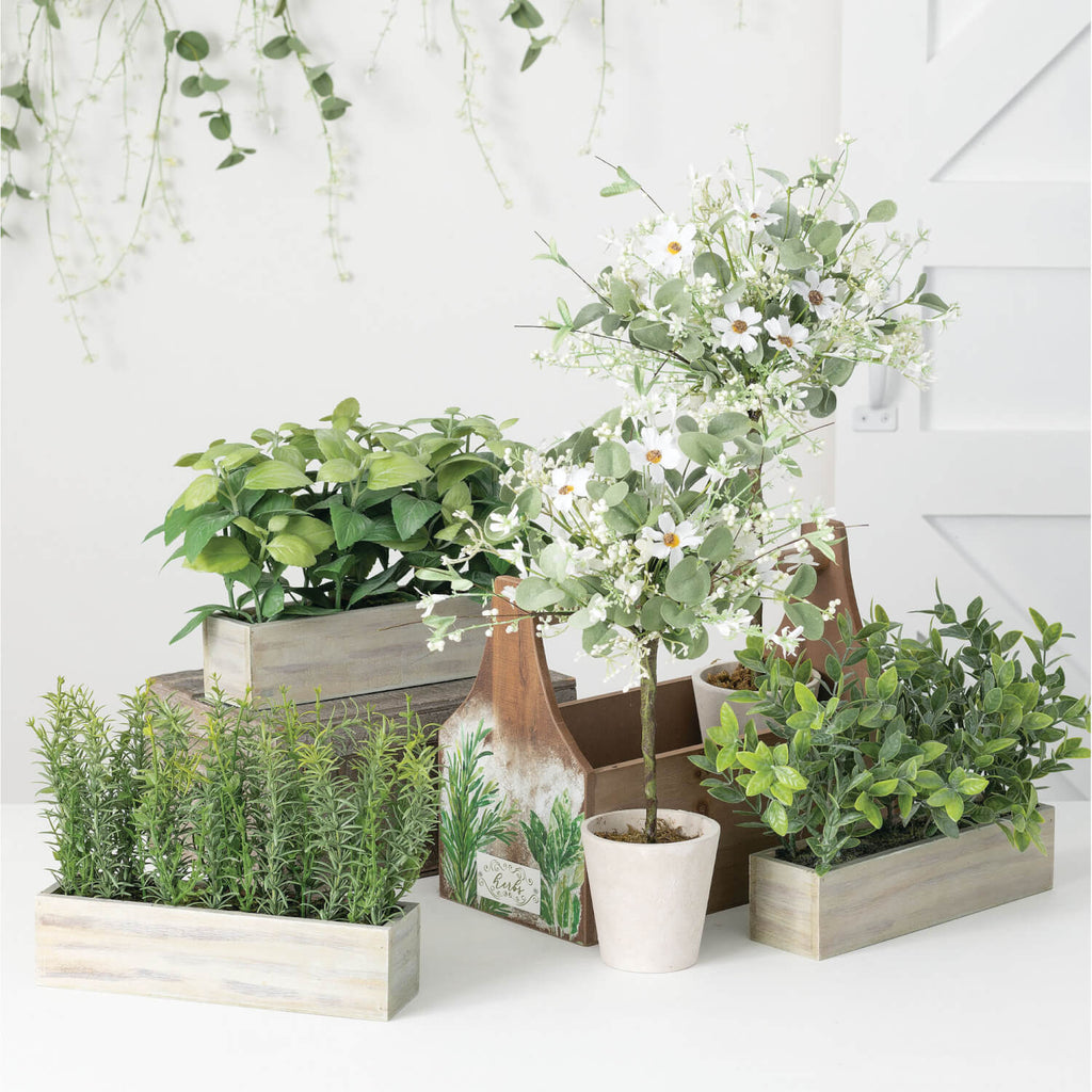 Daisy/Eucalyptus Topiary Set/2