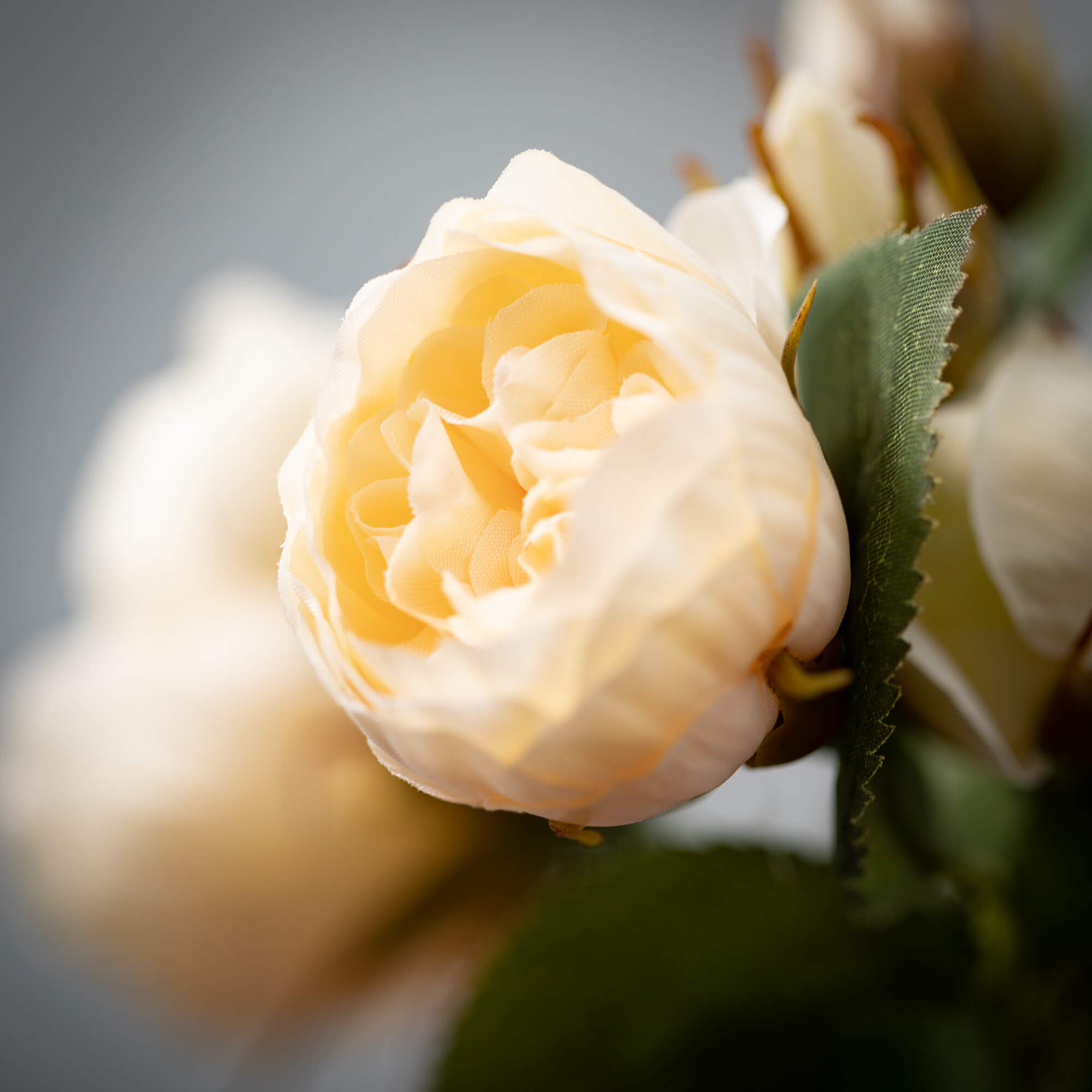 Classic Cream Blossoming Roses Woodstock Chimes