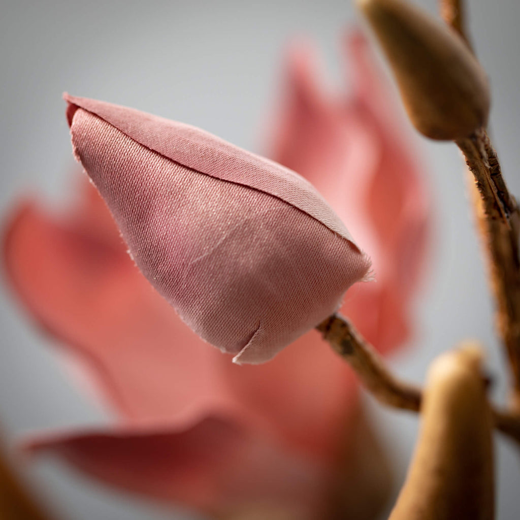 Blush Magnolia Blooming Branch